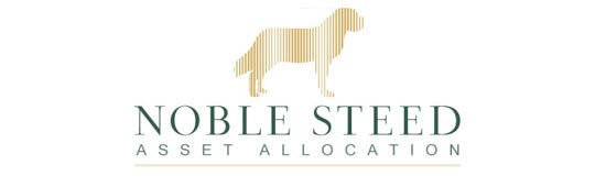 Noble Steed Asset Allocation